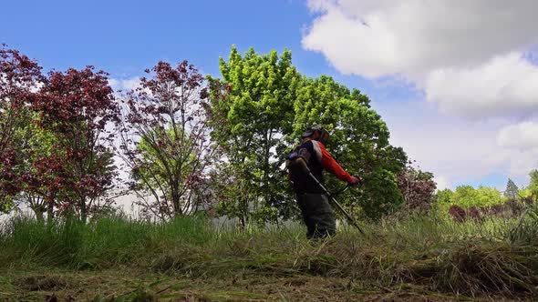 Gardener man using motor engine lawn mower cutting grass plant alt