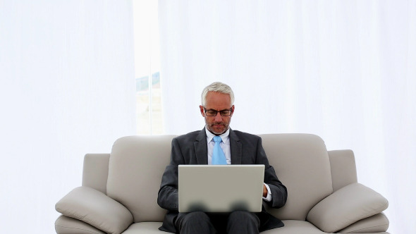 Successful Businessman Using Laptop On The Couch