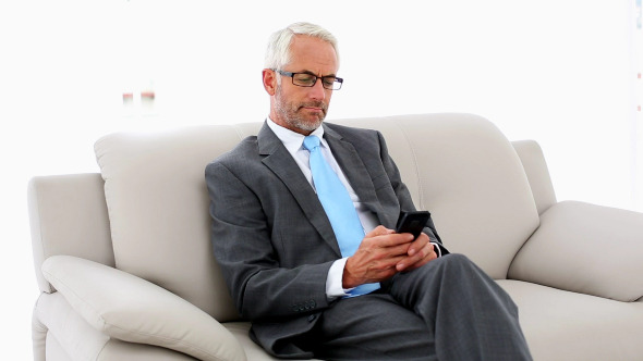 Businessman Sending A Text On The Couch alt