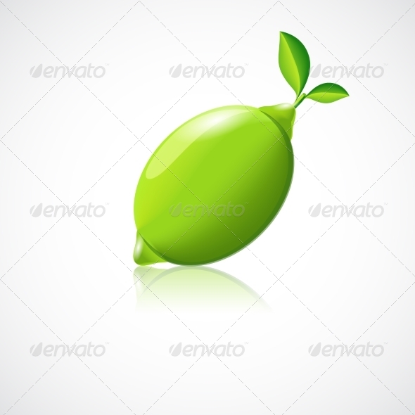 Lime Fruit Icon