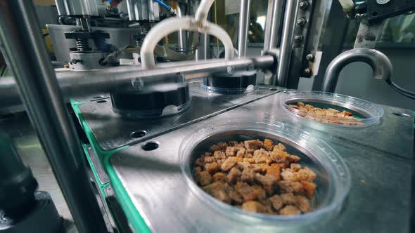 Plastic Boxes with Bread Snacks Are Getting Closed Mechanically alt