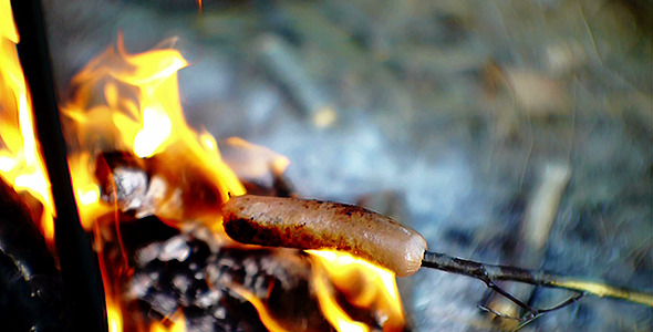 Cooking Sausage On Summer Bonfire