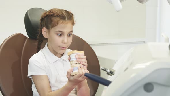 Surprised Girl Examines an Artificial Jaw alt