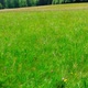 drone aerial flight over green field close up - VideoHive Item for Sale