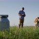 A Farmer with a Tablet Works in a Field Next to Him Grazes a Cow  a Loyal Friend - VideoHive Item for Sale