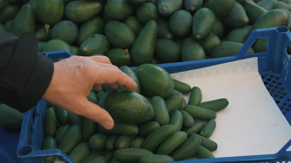 Choosing Avocado in the Supermarket