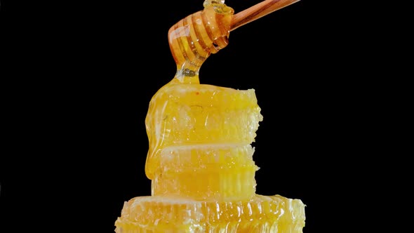The Honeycombs with Fresh Honey Rotate Slowly alt