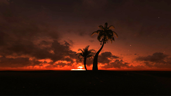African Sunrise With Palm Trees And Clouds