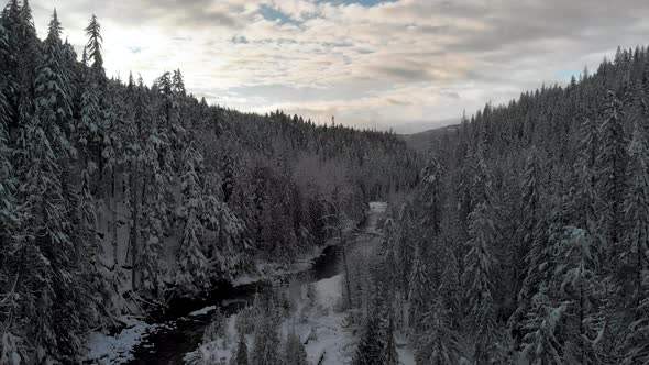 sunset over winter forest creek alt