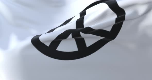 Pacifist Symbol in White Flag alt