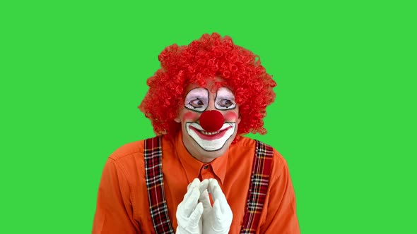 Cunning Clown Is Up To Something Having Plan Green Screen Chroma Key alt