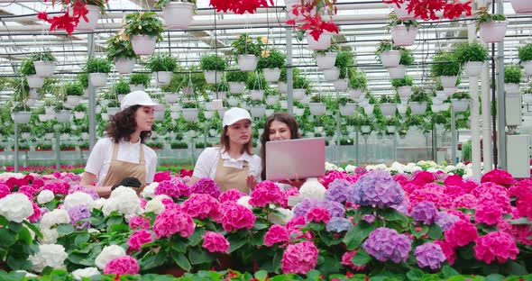 Women Looking Information in Laptop in Greenhouse alt