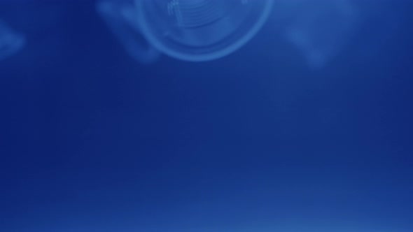 Plastic is the cause of global warming. A lot of plastic is under water. Save earth save wold alt