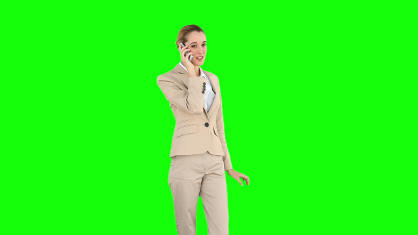 Businesswoman Talking On The Phone 1