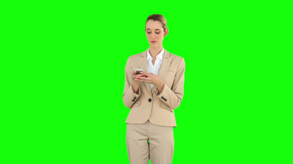 Businesswoman Texting On The Phone 2