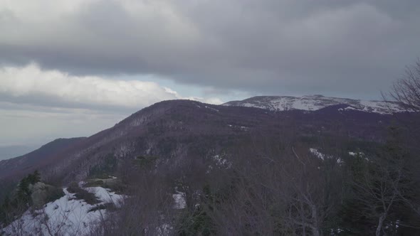 Winter Snowy Forest Mountain Landscape 4K alt