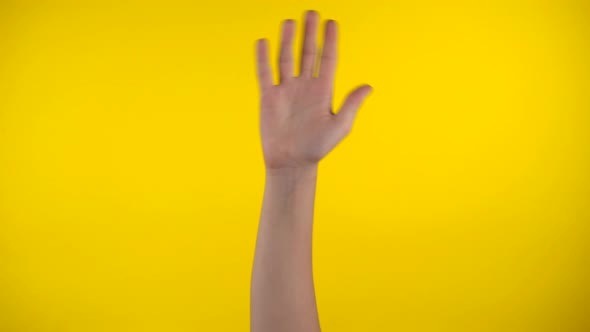 Hand Waving on Yellow Background Say Hi Say Hello By Gesturing