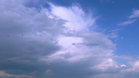 Slow Motion Black Dark Birds Flying On The Blue And White Sky Background alt