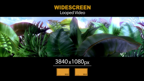 Widescreen Tropical Leaves 03
