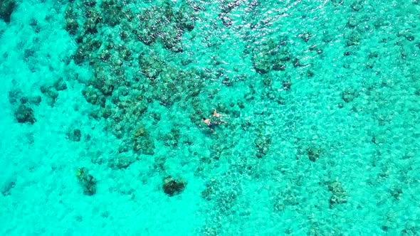 Tropical drone travel shot of a white sandy paradise beach and blue sea background in best quality 4 alt