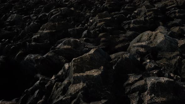 Cinematic Grungy Dark Forest Rocks 4k alt