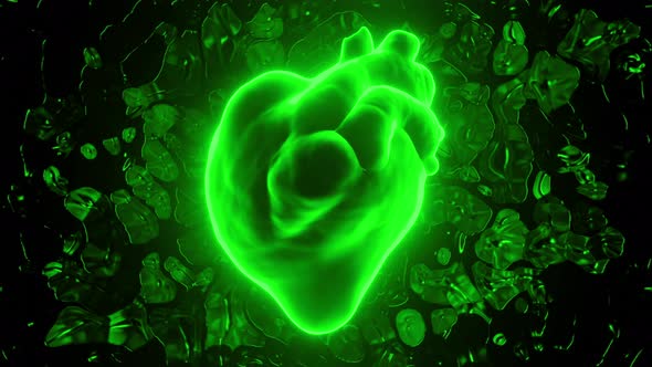 Digital Model of the Human Realistic Beating Heart Diagnostic of the Human Circulatory System alt