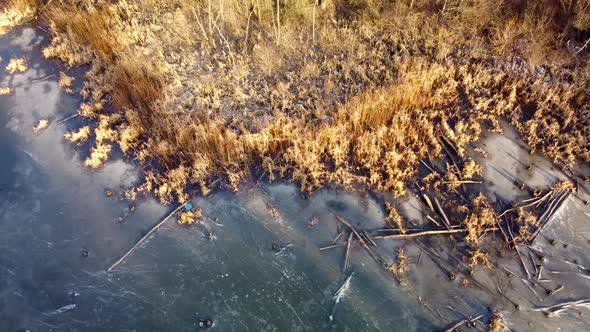 Aerial view on frozen wild lake in sunset forest