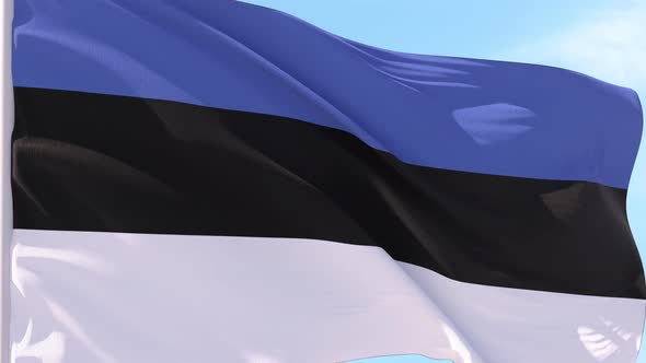 Estonia Flag Looping Background