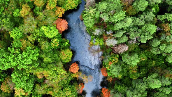 Stunning river and forest in autumn, aerial view alt