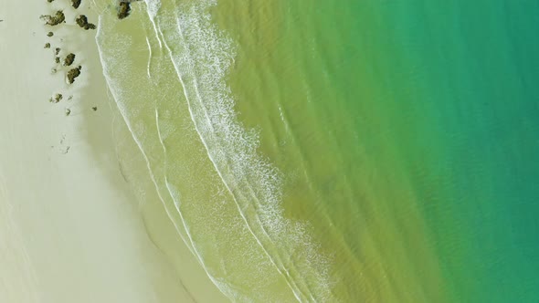 Aerial, gorgeous sand beach and ocean at Cape Tribulation in Queensland, Australia, top down view