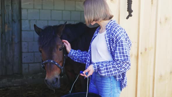 Girl Stroking Her Horse In The Stable During The Daytime  Holding A Bucket alt