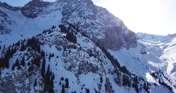 High Snowy Mountains Spruce Trees Grow in Places alt