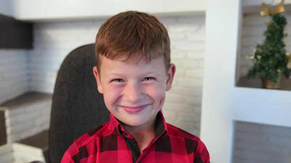 Boy Nods His Head Yes a Gesture of Agreement Agrees Supports alt