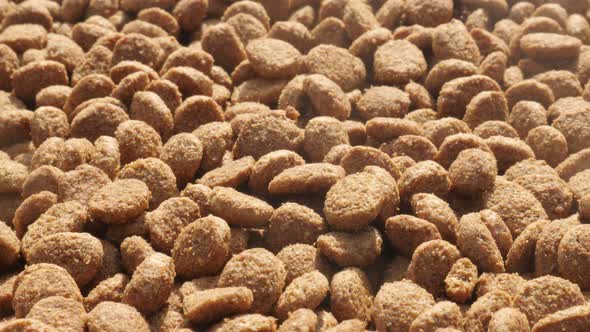 Close-up of  cat or dog  dry food slow tilt 4K 2160p 30fps UltraHD footage - Healthy pet pellets on  alt