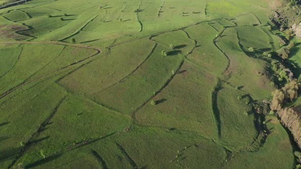 Aerial View Of Green Plains alt