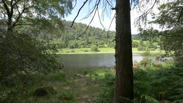 Upper Lake seen through tree trunks alt