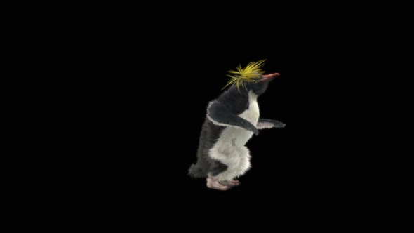 Penguin Dancing HD alt