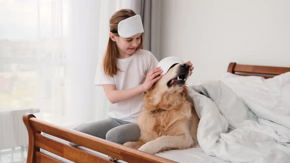 Girl with Golden Retriever Dog in the Bed alt