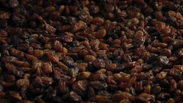 Raisins Pile Rotating alt