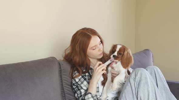 A Pretty Redhaired Young Woman Gives Her Dog a Drink of Medicine From a Syringe While Sitting at