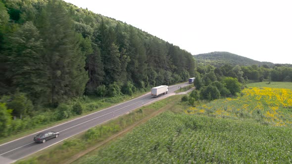 Drone Following Trucks on Road Near Fields of Blooming Sunflowers alt
