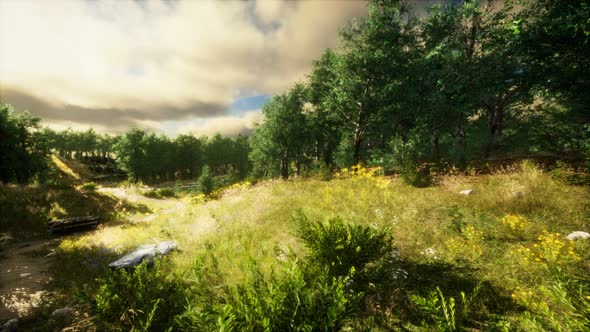 Heavy Rain Clouds Over the Field at the Sunset alt