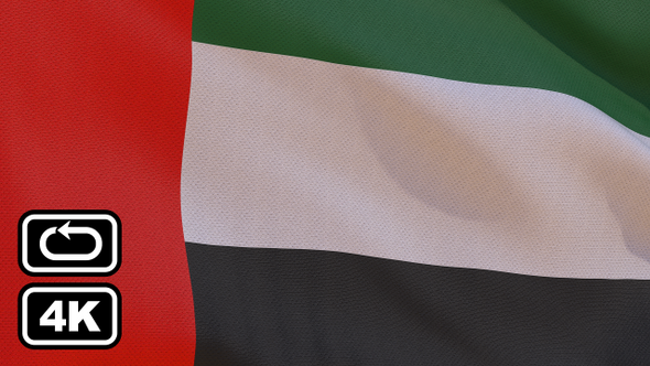 United Arab Emirates Flag alt