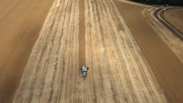 Aerial shot: Combine harvesting oat on the agriculture field. Top view alt
