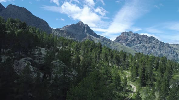 Moving Forward to Pine Woods Forest and Rocky Mountain in Summer Day alt