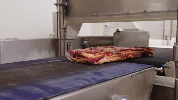 Industrial Laser Determines Size and Reveals Defects in Piece of Bacon Moving Along Conveyor