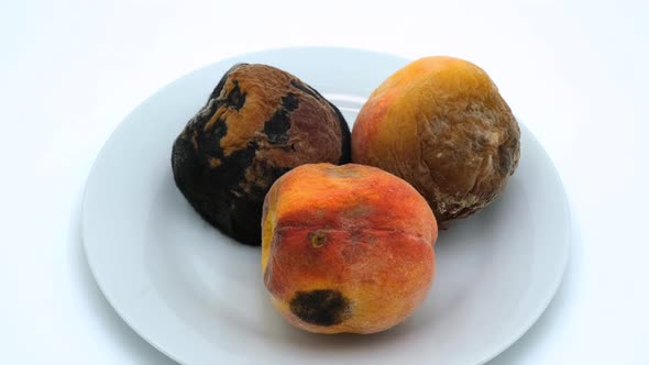 Overripe peach covered with mold. Rotten peach spoiled by time