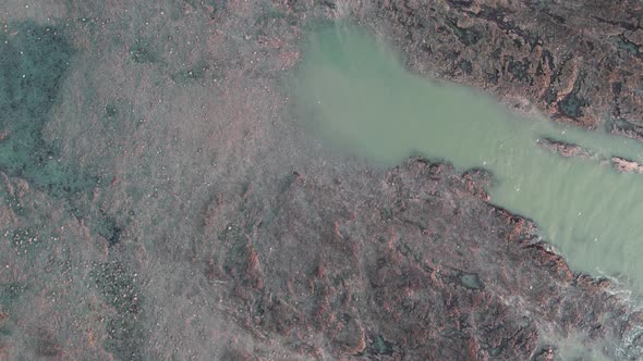AERIAL: Top down fly across rock coastline showing rockpools and seabirds, Rhossili Gower, 4k Drone alt