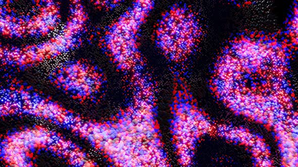 Abstract Looped Background with Red Blue Particles Glow and Form Beautiful Pattern alt