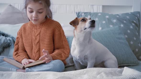 Girl in a Knitted Sweater Sits in a Cozy Bedroom Reading a Book with Her Beloved Little Dog Jack alt